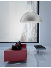 Lustra gri cu alb Copertina