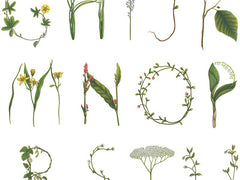 Tapet ABC FOR THE SPELLING BEE