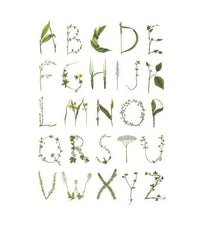 Tapet ABC FOR THE SPELLING BEE