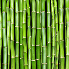Tapet BAMBOO