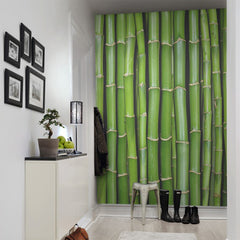 Tapet BAMBOO