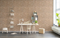 Tapet BIRCH BARK BRAIDS