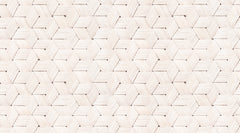 Tapet BIRCH BARK BRAIDS, WHITE