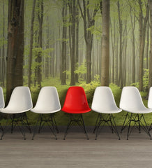 Tapet DECIDUOUS FOREST