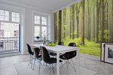 Tapet DECIDUOUS FOREST