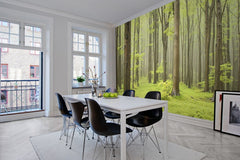Tapet DECIDUOUS FOREST