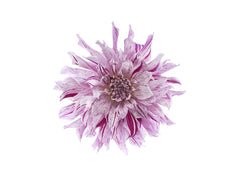 Tapet FLOWER