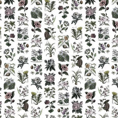 Tapet FRUIT & FLORA, COLOR