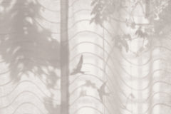 Tapet HORTUS UMBRA