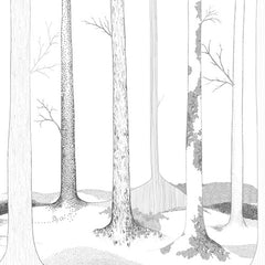 Tapet IN THE FOREST LIVES...