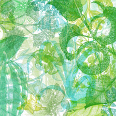 Tapet JELLY BELLY PLANTS, GREEN