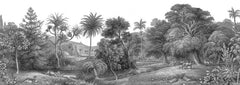 Tapet JUNGLE LAND