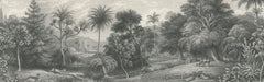 Tapet JUNGLE LAND, VINTAGE