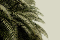 Tapet LEAF LOVE