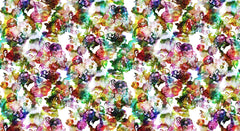 Tapet LILY POND, RAINBOW