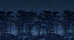 Tapet THE ENCHANTED FOREST