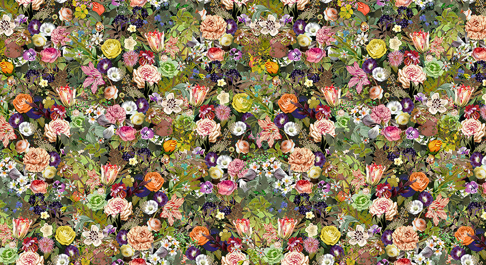 Tapet MEADOW, COLOR